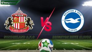 Sunderland A.F.C vs Brighton Hove Albion